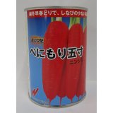 [人参]　べにもり五寸　コート1万粒　渡辺農事（株）