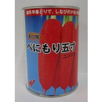 [人参]　べにもり五寸　コート1万粒　渡辺農事（株）