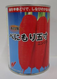 [人参]　べにもり五寸　コート1万粒　渡辺農事（株）
