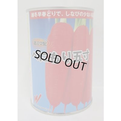 画像1: [人参]　べにもり五寸　コート1万粒　渡辺農事（株）