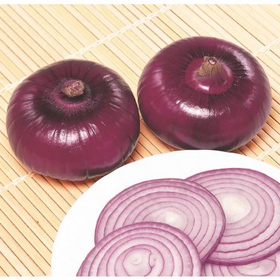 画像3: 送料無料　[たまねぎ]　早生湘南レッド　20ml　神奈川県種苗共同組合