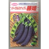 送料無料　[えんどう]　パープルスナップ　藤姫　20ml　松永種苗(株)