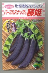 送料無料　[えんどう]　パープルスナップ　藤姫　20ml　松永種苗(株)