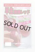 送料無料　[たまねぎ]　早生湘南レッド　1dl　神奈川県種苗共同組合