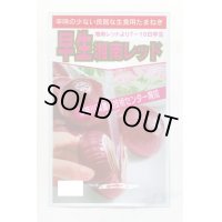 [たまねぎ]　早生湘南レッド　20ml　神奈川県種苗共同組合