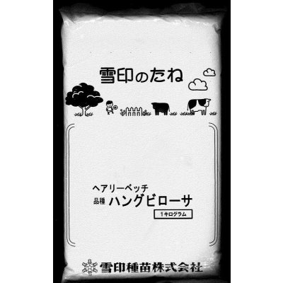 画像3: [緑肥]　ペルシアンクローバ　まめ小町　1kg　雪印種苗(株)