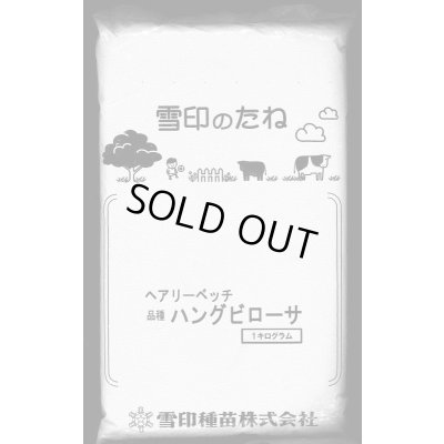 画像3: [緑肥]　ペルシアンクローバ　まめ小町　1kg　雪印種苗(株)