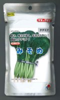 送料無料　[葉物]　みそめ　2dl　タキイ種苗(株)