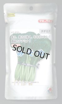 送料無料　みそめ　2dl　タキイ種苗(株)