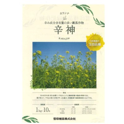 画像2: [緑肥]　チャガラシ　辛神　500g　雪印種苗(株)