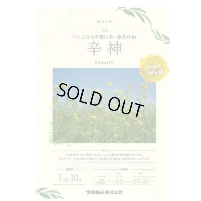 画像2: [緑肥] チャガラシ 辛神 500g 雪印種苗(株)