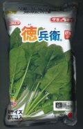 [ほうれんそう]　徳兵衛　3万粒(種子サイズ：M)　タキイ種苗(株)