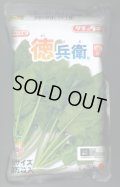 [ほうれんそう]　徳兵衛　3万粒(種子サイズ：M)　タキイ種苗(株)