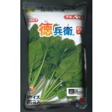 [ほうれんそう]　徳兵衛　3万粒(種子サイズ：M)　タキイ種苗(株)