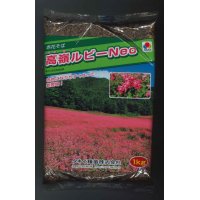[景観形成作物]　赤花そば　高嶺ルビー Neo　 1kg　タキイ種苗（株）
