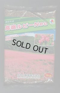 [景観形成作物]　赤花そば　高嶺ルビー　Neo　1kg　タキイ種苗(株)