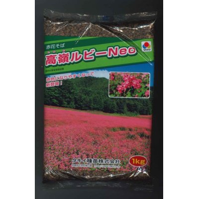 画像1: [景観形成作物]　赤花そば　高嶺ルビー Neo　 1kg　タキイ種苗（株）