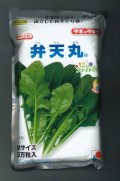 [ほうれんそう]　弁天丸　3万粒(Mサイズ)　タキイ種苗