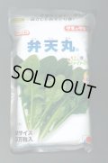 [ほうれんそう]　弁天丸　3万粒(Mサイズ)　タキイ種苗