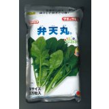 [ほうれんそう]　弁天丸　3万粒(Mサイズ)　タキイ種苗