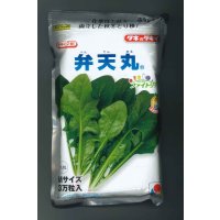 [ほうれんそう]　弁天丸　3万粒(Mサイズ)　タキイ種苗