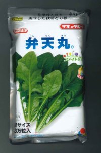 [ほうれんそう]　弁天丸　3万粒(Mサイズ)　タキイ種苗