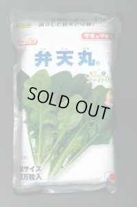 [ほうれんそう]　弁天丸　3万粒(Mサイズ)　タキイ種苗