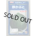 送料無料　[かぼちゃ]　鉄かぶと　100粒　(瓜類台木使用可)　タキイ種苗(株)