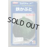 送料無料　[かぼちゃ]　鉄かぶと　100粒　(瓜類台木使用可)　タキイ種苗(株)