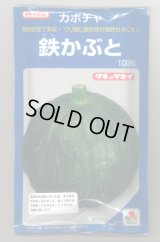 送料無料　[かぼちゃ]　鉄かぶと　100粒　(瓜類台木使用可)　タキイ種苗(株)