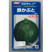 [かぼちゃ]　鉄かぶと　100粒　（瓜類台木使用可）　タキイ種苗（株）