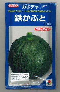 [かぼちゃ]　鉄かぶと　100粒　（瓜類台木使用可）　タキイ種苗（株）