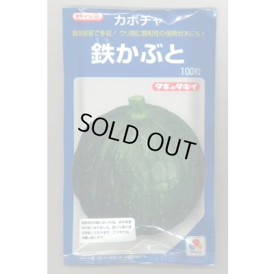 画像1: 送料無料　[かぼちゃ]　鉄かぶと　100粒　(瓜類台木使用可)　タキイ種苗(株)