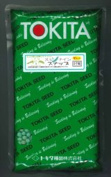 [えんどう]　サヤエンドウ　スジナインスナップ　2000粒　トキタ種苗(株)