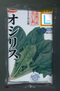 [ほうれんそう]　オシリス　2万粒　種子サイズ：L　（株）サカタのタネ