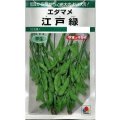 送料無料　[枝豆]　江戸緑枝豆　35ml　タキイ種苗　GF