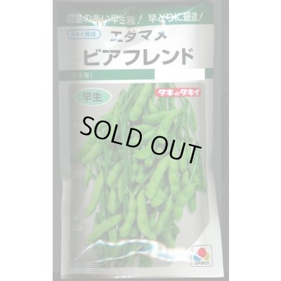 画像1: 送料無料　[枝豆]　ビアフレンド　35ml　タキイ種苗(株)　GF