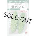 送料無料　[ゴーヤ]　太れいし　12ml　タキイ種苗(株)　GF