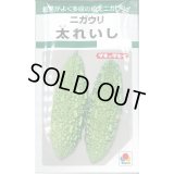 送料無料　[ゴーヤ]　太れいし　12ml　タキイ種苗(株)　GF