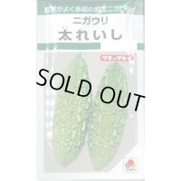 送料無料　[ゴーヤ]　太れいし　12ml　タキイ種苗(株)　GF