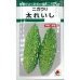 画像1: [ゴーヤ]　太れいし　12ml　タキイ種苗（株）　GF (1)