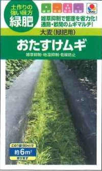 [緑肥]　大麦（緑肥用）おたすけムギ　小袋（約5平方メートル分）　タキイ種苗（株）