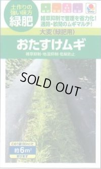 送料無料　[緑肥]　大麦(緑肥用)おたすけムギ　小袋(約6平方メートル分)　タキイ種苗(株)