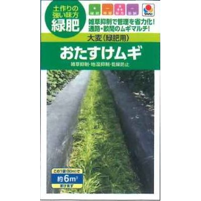 画像1: [緑肥]　大麦（緑肥用）おたすけムギ　小袋（約5平方メートル分）　タキイ種苗（株）