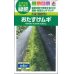 画像1: [緑肥]　大麦（緑肥用）おたすけムギ　小袋（約5平方メートル分）　タキイ種苗（株） (1)