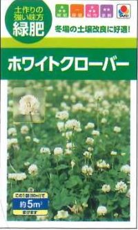 [景観形成作物]　緑肥用ホワイトクローバー　フィア　小袋（約5平方メートル分）　タキイ種苗（株）