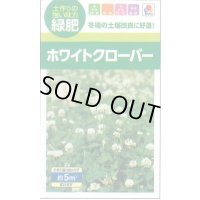 送料無料　[緑肥]　緑肥用ホワイトクローバー　フィア　小袋(約5平方メートル分)　タキイ種苗(株)
