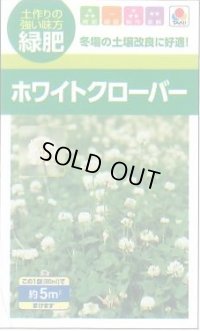 送料無料　[緑肥]　緑肥用ホワイトクローバー　フィア　小袋(約5平方メートル分)　タキイ種苗(株)