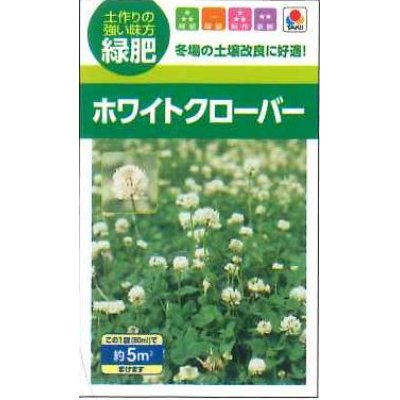 画像1: [景観形成作物]　緑肥用ホワイトクローバー　フィア　小袋（約5平方メートル分）　タキイ種苗（株）
