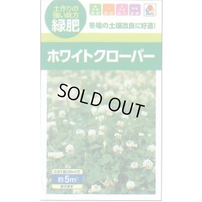 画像1: 送料無料　[緑肥]　緑肥用ホワイトクローバー　フィア　小袋(約5平方メートル分)　タキイ種苗(株)